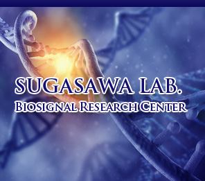SUGASAWA LAB. BIOSIGNAL RESEARCH CENTER