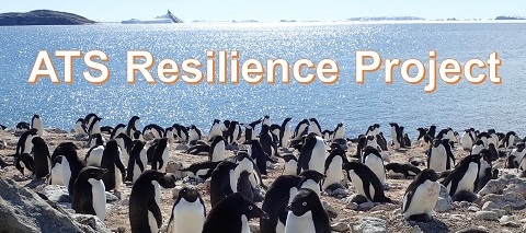 Arctic Challenge for Sustainability