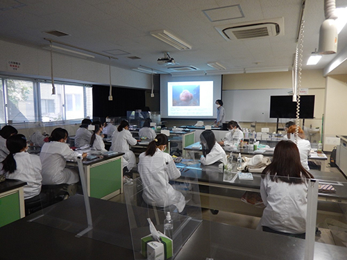 奈良女子大学理学部化学生命環境学科 ＜臨海実習・拠点共同利用＞