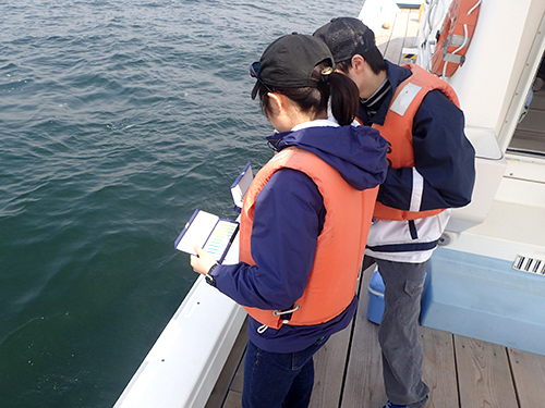 Open Marine Field Course C "Inner bay marine water and bottom environments"