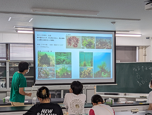 海藻についての講義