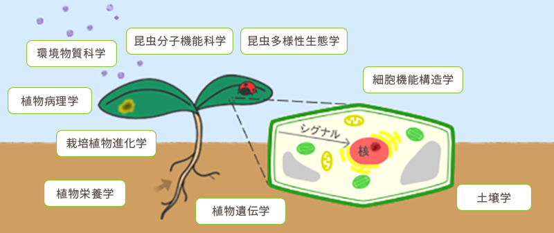 環境生物学コースとは?
