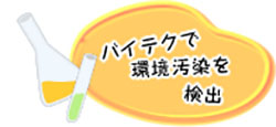 先端研究の紹介２