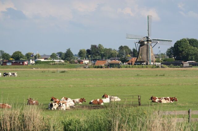 Netherlands_1