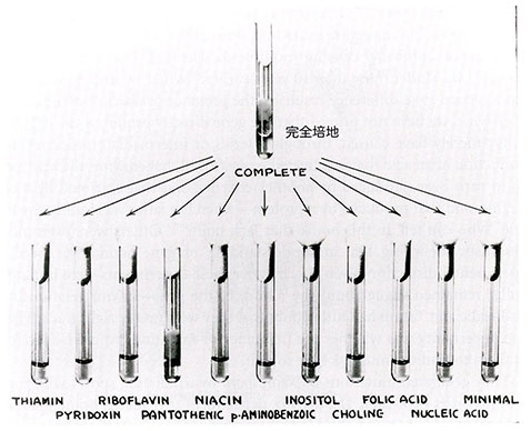 Fig_5