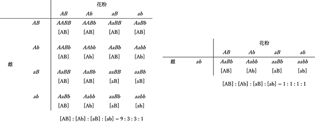 Fig_1