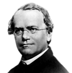 :Gregor Mendel.png