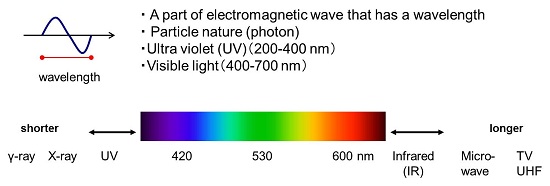 R1_Fig01