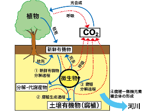 クラブについて