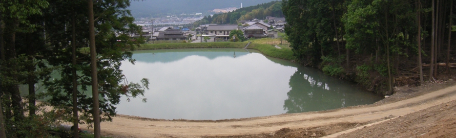rimg0527.jpg