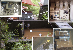 Continuous water quality monitoring equipment
