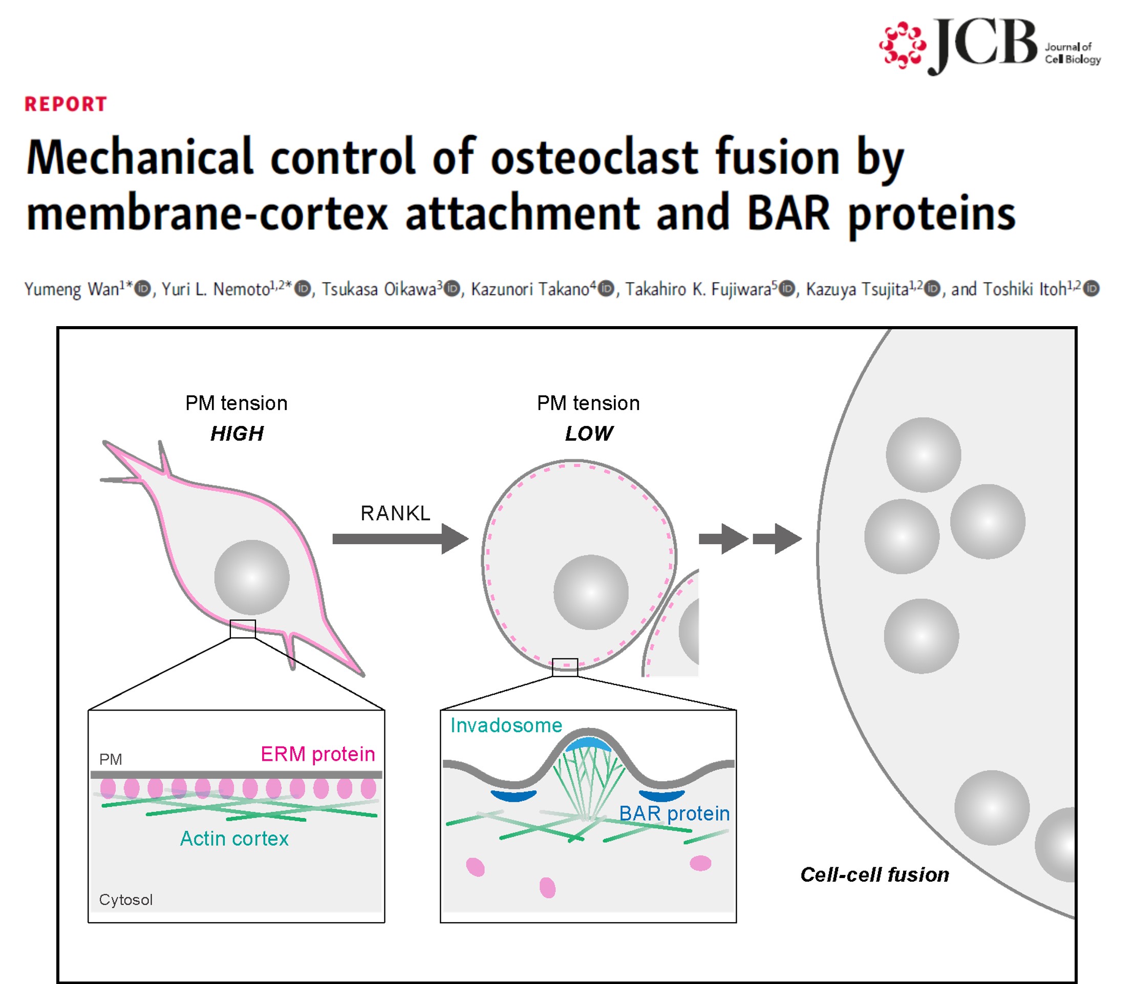 Key Publication 1 Image