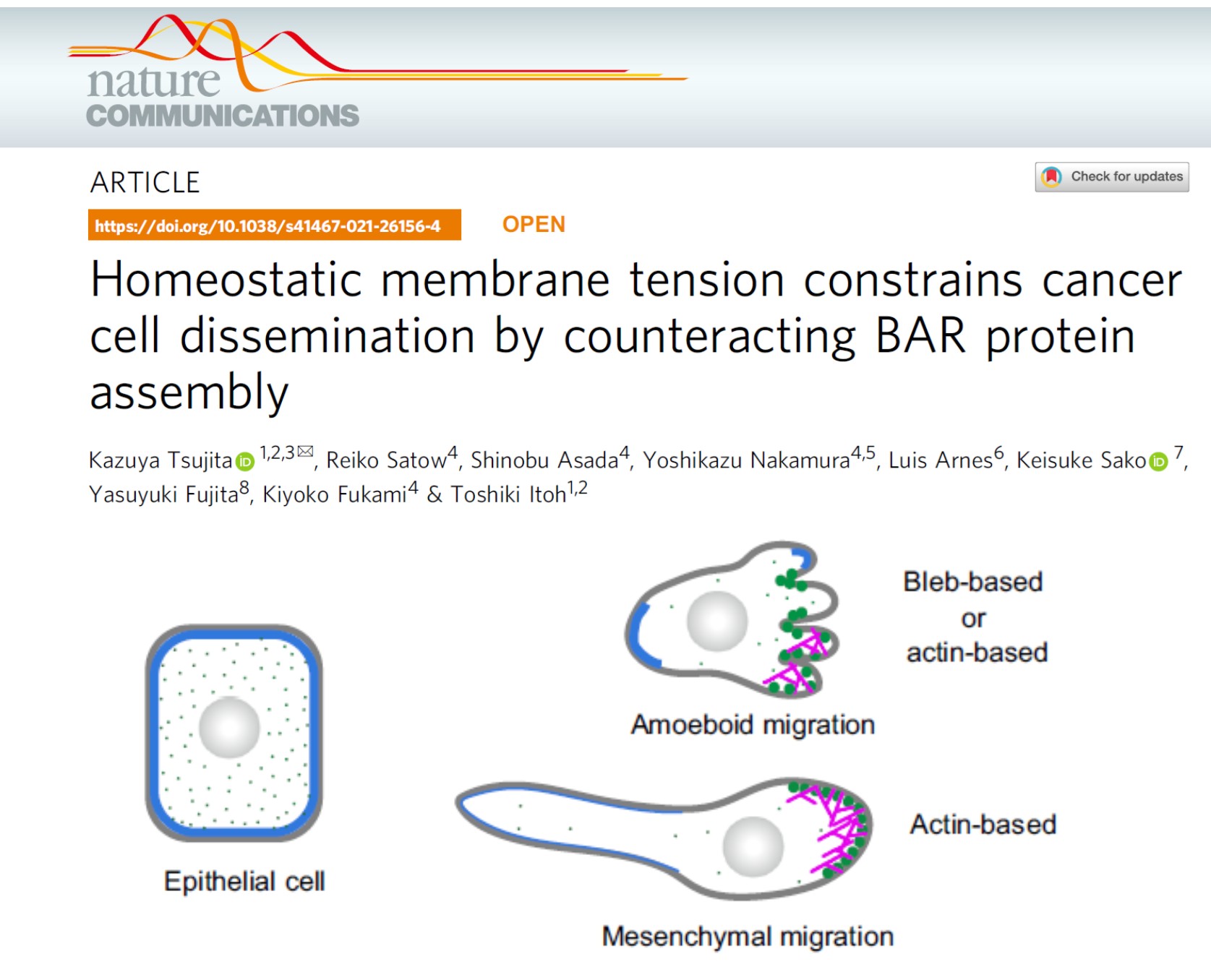 Key Publication 2 Image