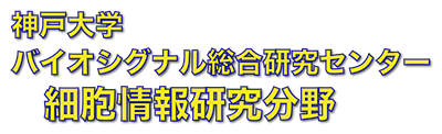 神戸大学バイオシグナル総合研究センター 細胞情報研究分野 | 吉川研究室