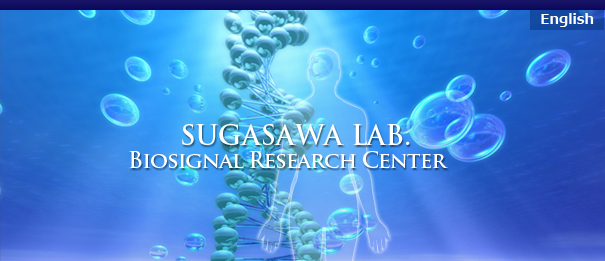 SUGASAWA LAB. BIOSIGNAL RESEARCH CENTER