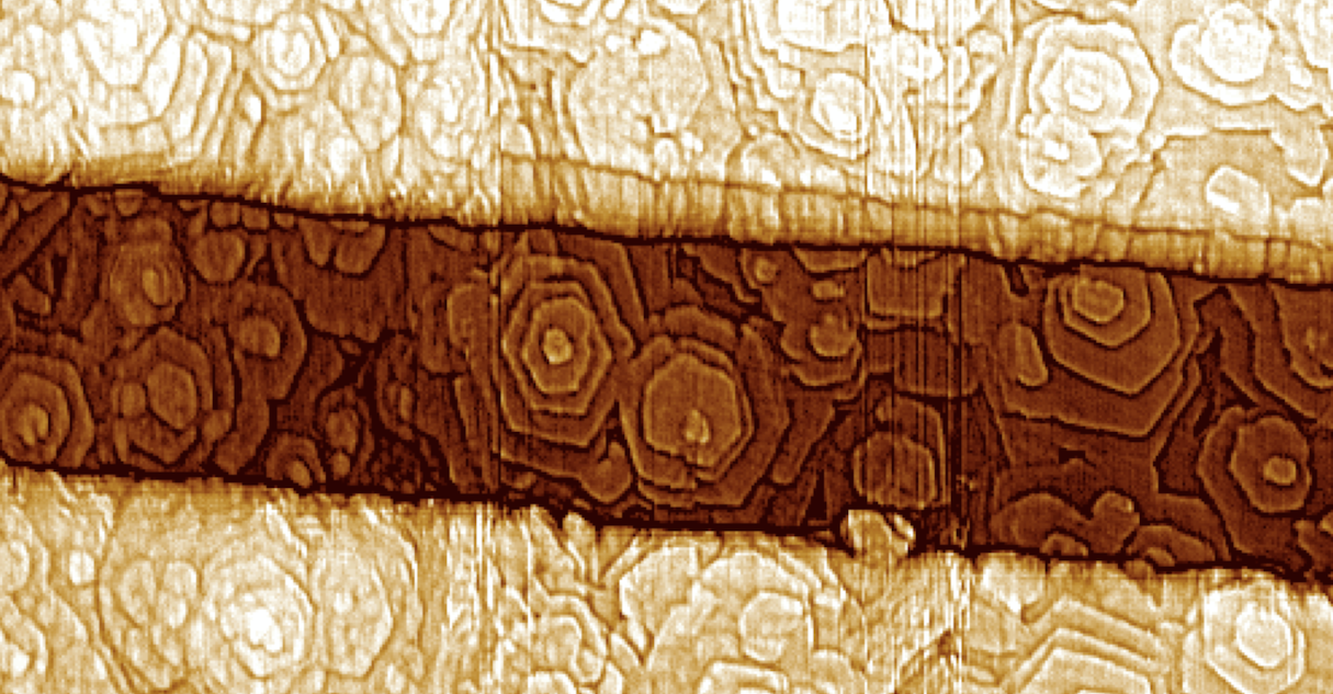 ovdf_afm.png