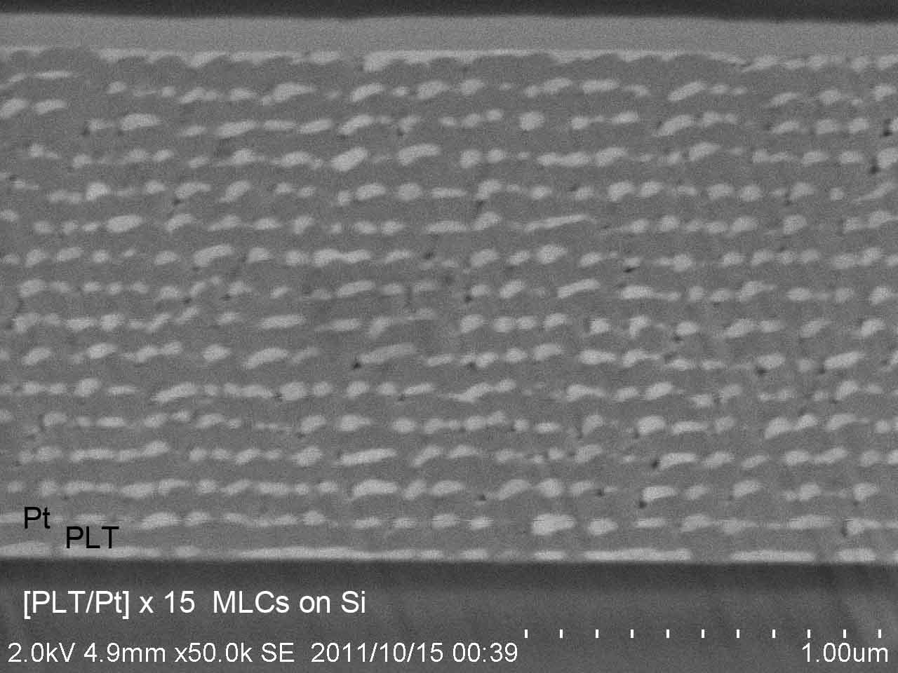 MLC