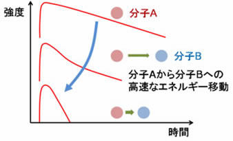 ネルギー移動を利用した有機色素薄膜材料の開発　（小島）