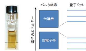 コロイド量子ドットを用いた光機能材料の開発　（原田）