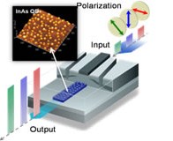 広帯域偏波無依存半導体光アンプの開発　（喜多）