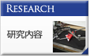 Research 研究内容