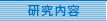 研究内容