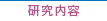 研究内容