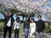 2005年花見at大倉山公園