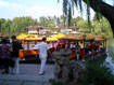 APDO(China) 2008 August