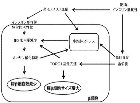 図2