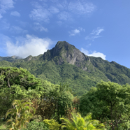 IMG_1342.jpeg