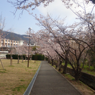 HAON3293.JPG
