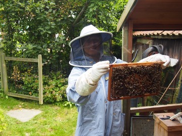 Bee keeping@Southampton