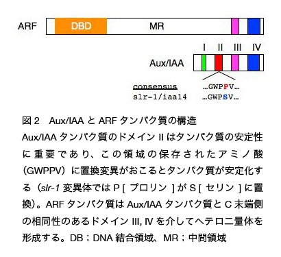 iaa_arf