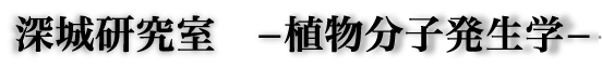 [錤@Aqw
