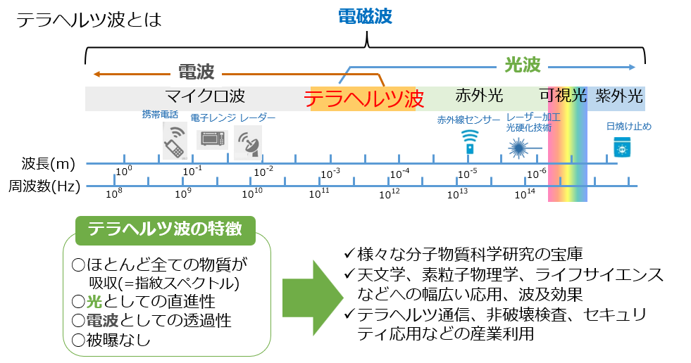 fig1