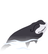 クジラ