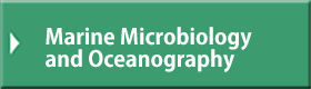 Marine Microbiology and Oceanography