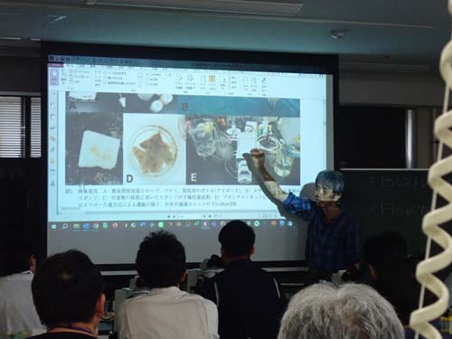 海藻の培養についての説明