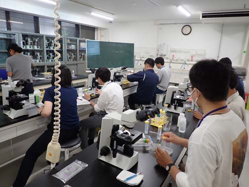 培養株の凍結保存