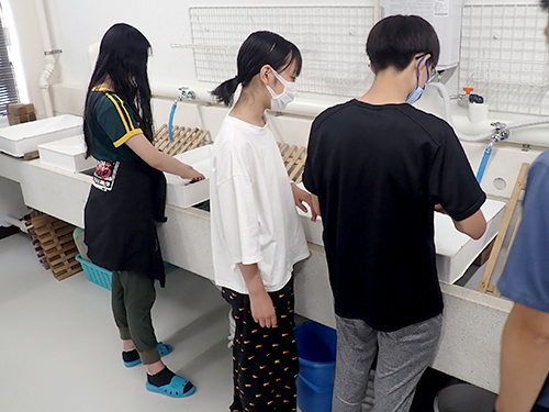 海藻押し葉標本の作製