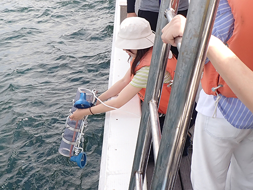 バンドーン採水器を用いた採水