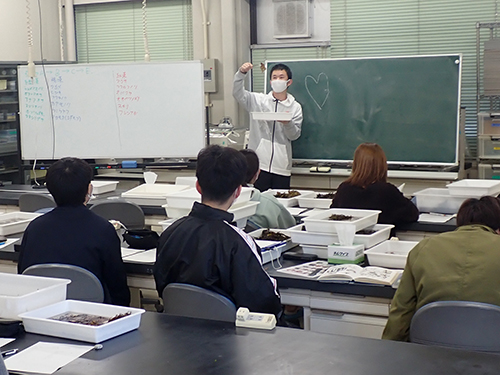 同定した海藻の発表会