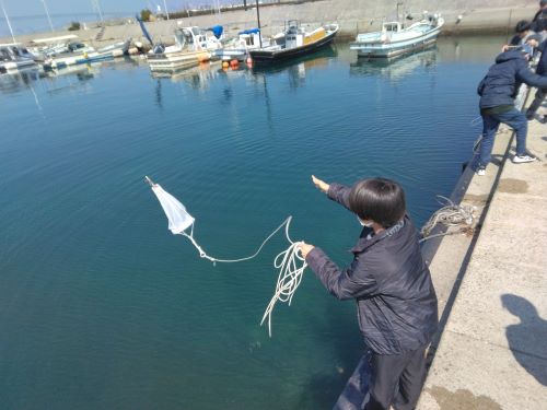 プランクトンの採集