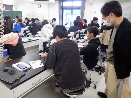 プランクトンの観察と定量