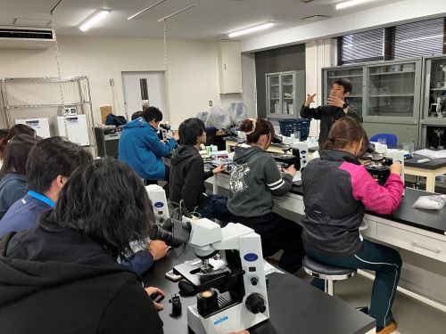 プランクトンの顕微鏡観察