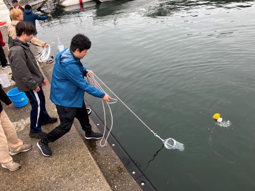 プランクトン採集