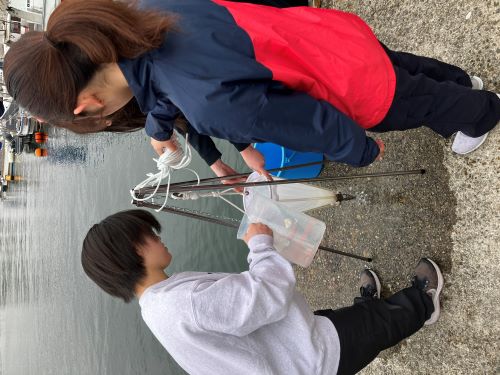 プランクトンの濃縮