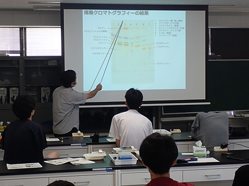 光合成色素や薄層クロマトグラフィーについての講義