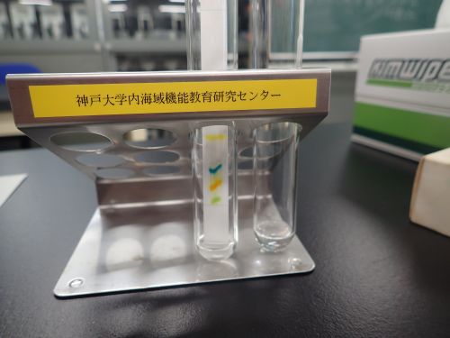 薄層クロマトグラフィー